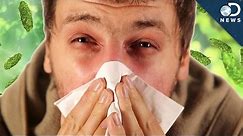 Cold vs. Flu: What's The Difference?