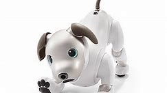 Sony Aibo robotic dog