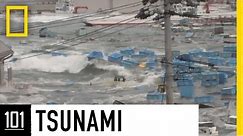 Tsunamis 101 | National Geographic
