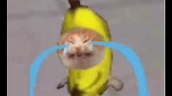 Crying Banana Cat 1 Hour