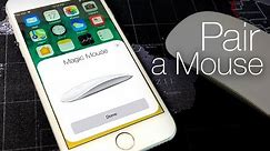 How to Use Mouse with iPhone - 2020