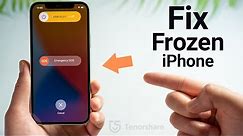How to Fix iPhone Frozen Screen without Losing Any Data 2021