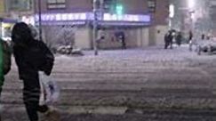 Tokyo Endures Heaviest Snowfall For Four Years