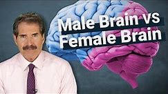 The Science: Male Brain vs Female Brain
