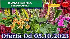 Biedronka | Kwiaciarnia Biedronki Nowa Oferta Od 05.10.2023 | Kwiatowe Inspiracje Biedronki