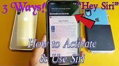 iPhone X/XS/XR: How to Activate & Use Hey Siri (3 Ways)