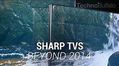 Sharp Televisions - Beyond 2014