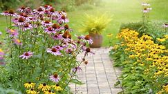 How to Plant a Perennial Garden, From Choosing a Location to Ensuring Your Blooms Return Next Year