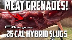 FX Dreamline 25 cal Hybrid Slugs = Airgun Meat Grenades!
