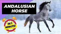 Andalusian Horse - In 1 Minute! 🐴 One Of The Most Beautiful Horses In The World | 1 Minute Animals