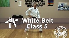 Shotokan Karate Beginner Kata Class - 9th Kyu White Belt - Class 5