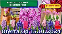 𝐁𝐈𝐄𝐃𝐑𝐎𝐍𝐊𝐀 🐞 Kwiaciarnia Biedronki Nowa Oferta Od 15.01.2024 | Kwiatowe Inspiracje Biedronki