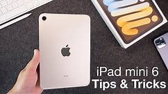How to use iPad mini 6 + Tips/Tricks!