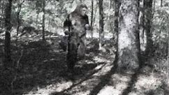 Bigfoot Sighting in Georgia ~ Griffin, GA 10/20/13