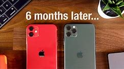 iPhone 11 & 11 Pro - 6 Months Later