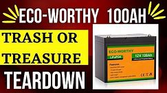 Introducing The Eco-worthy 12v 100ah Lifepo4 Battery - Find Out What's Inside The Box!