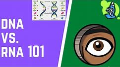DNA vs. RNA 101