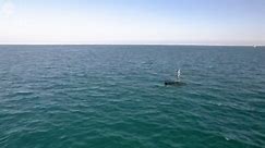 Take a look at the world's first autonomous underwater and surface vehicle