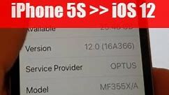 iPhone 5S: How to Update Software to iOS 12 From Older Version 8.3