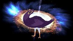 Trash Dove Goes To Space
