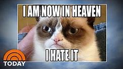 Grumpy Cat: World Bids Farewell To Meme Sensation | TODAY
