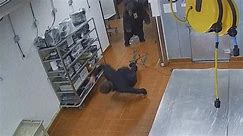 Terrore in hotel: l'orso entra nelle cucine e attacca la guardia giurata