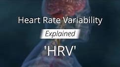 Heart Rate Variability (HRV) Explained for Health and Decision-Making