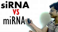 siRNA vs miRNA | The difference between mirna and sirna