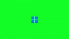 Windows 11 Startup Green Screen