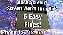 iPhone 12's: Black Screen, Blank Display, Screen Won't Turn On? 5 Fixes!!
