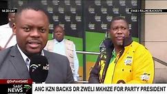 Why ANC KZN is backing Dr Zweli Mkhize for party president