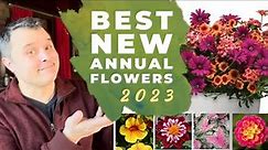 Best NEW Annual Flower Varieties