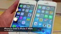 iPhone 5s Gold VS iPhone 5 White