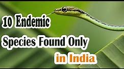 10 Endemic Species Found Only in India | Ancient Asia | Must Watch |