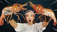 [Mukbang ASMR] 압도적인 크기👀대왕 활 도화새우🦐먹방 The Highest Peak! Dokdo Dohwa Shrimp (RAW) Eatingsound Ssoyoung