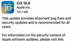 iOS 16.6—Apple Fixes 25 Security Flaws