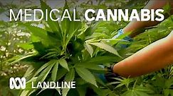 Boom in use of medical cannabis in Australia 🌿⚕ | Landline | ABC Australia