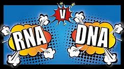 RNA Vs DNA For A Level Biology | Table to Compare DNA and RNA