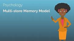 Multi-store Memory Model - A-level Psychology Revision Video - Study Rocket