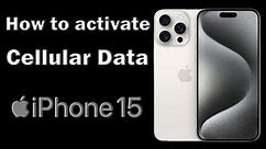 How do i enable cellular data on my iPhone 15 Pro Max set up cellular data