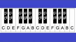How To Label Keys On A Piano Or Keyboard Part 2 - The Black Keys