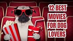 12 Best Movies For Dog Lovers , Best Dog Movies by Animal KingdomX