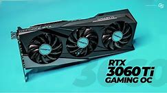 Gigabyte RTX 3060 Ti Gaming OC - Windows and Linux TESTED!