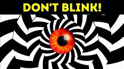 Don't Blink If You Want To See What's Hiding Here - video Dailymotion