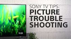 Sony TV Tips: Picture Troubleshooting