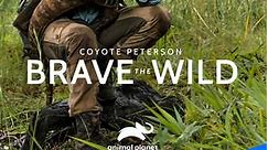 Coyote Peterson: Brave the Wild: Season 1 Episode 1 Legendary Turtle of Texas