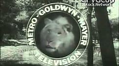 MGM Television (1960)