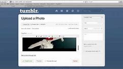 How to Embed a Video on Tumblr