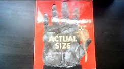 Actual Size Read-Aloud