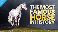 The Most Famous Horse in History